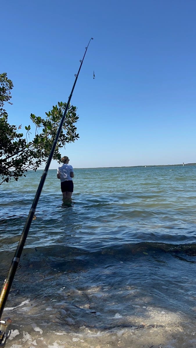 Courtney Campbell Causeway Bayside Fishing