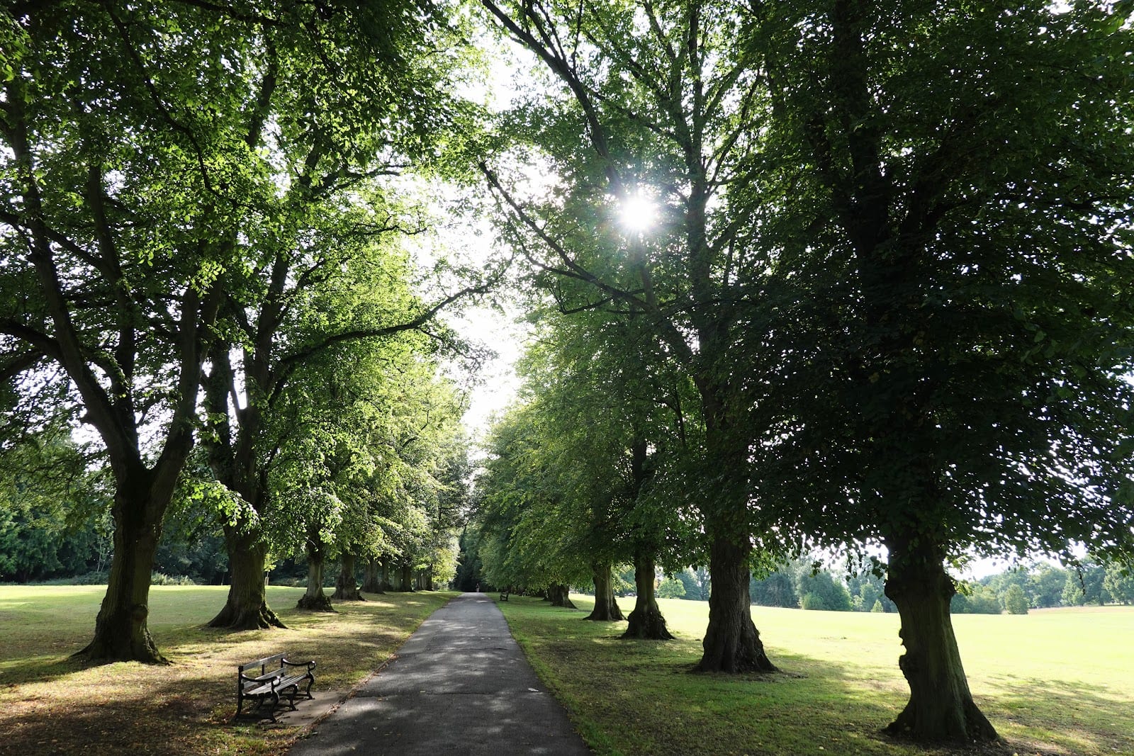 Rothamsted Park, photo 2
