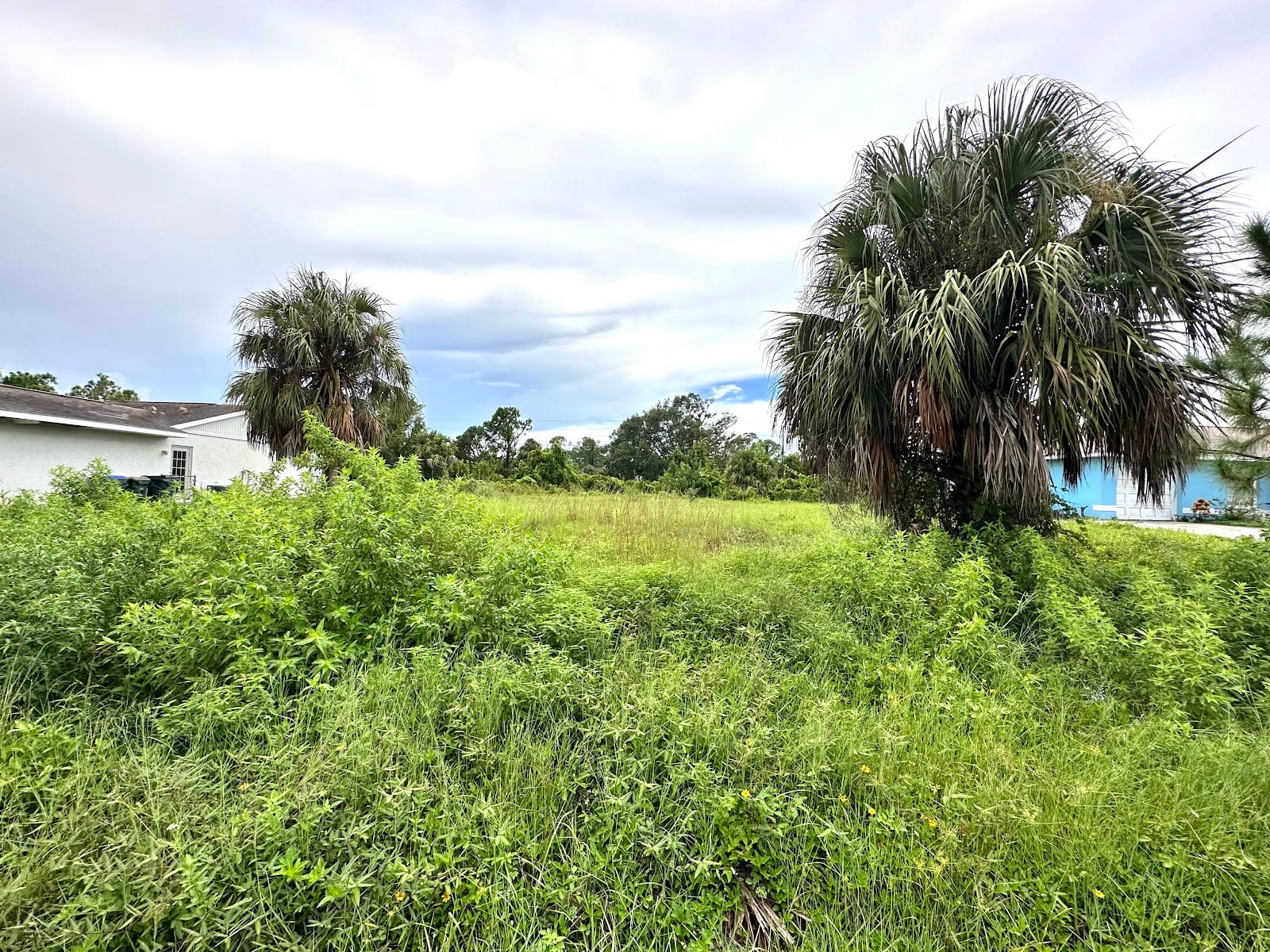 Singh Real Estate, Let's Get Your Home SOLD!, photo 4