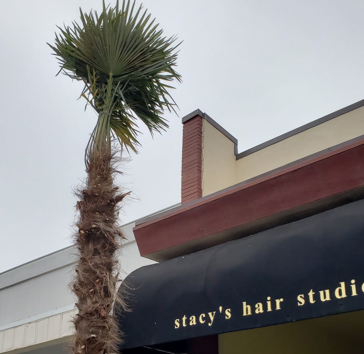 Stacy's Hair Studio, photo 3