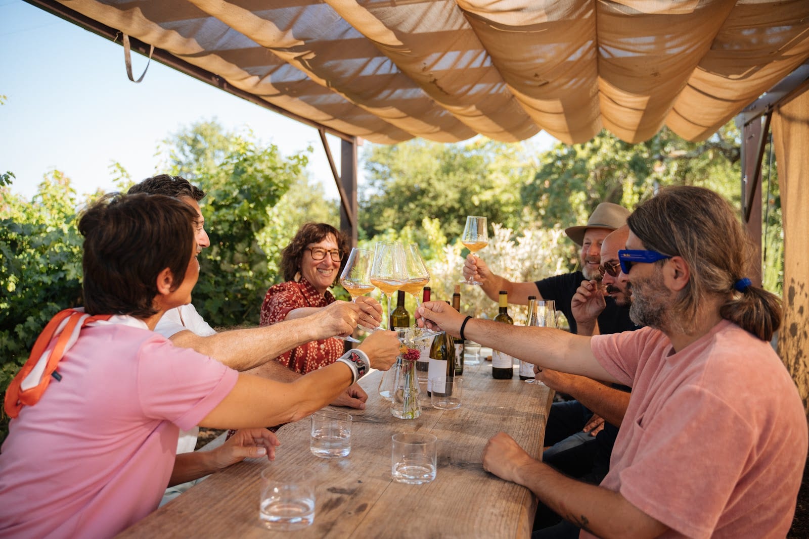 Matthiasson Winery