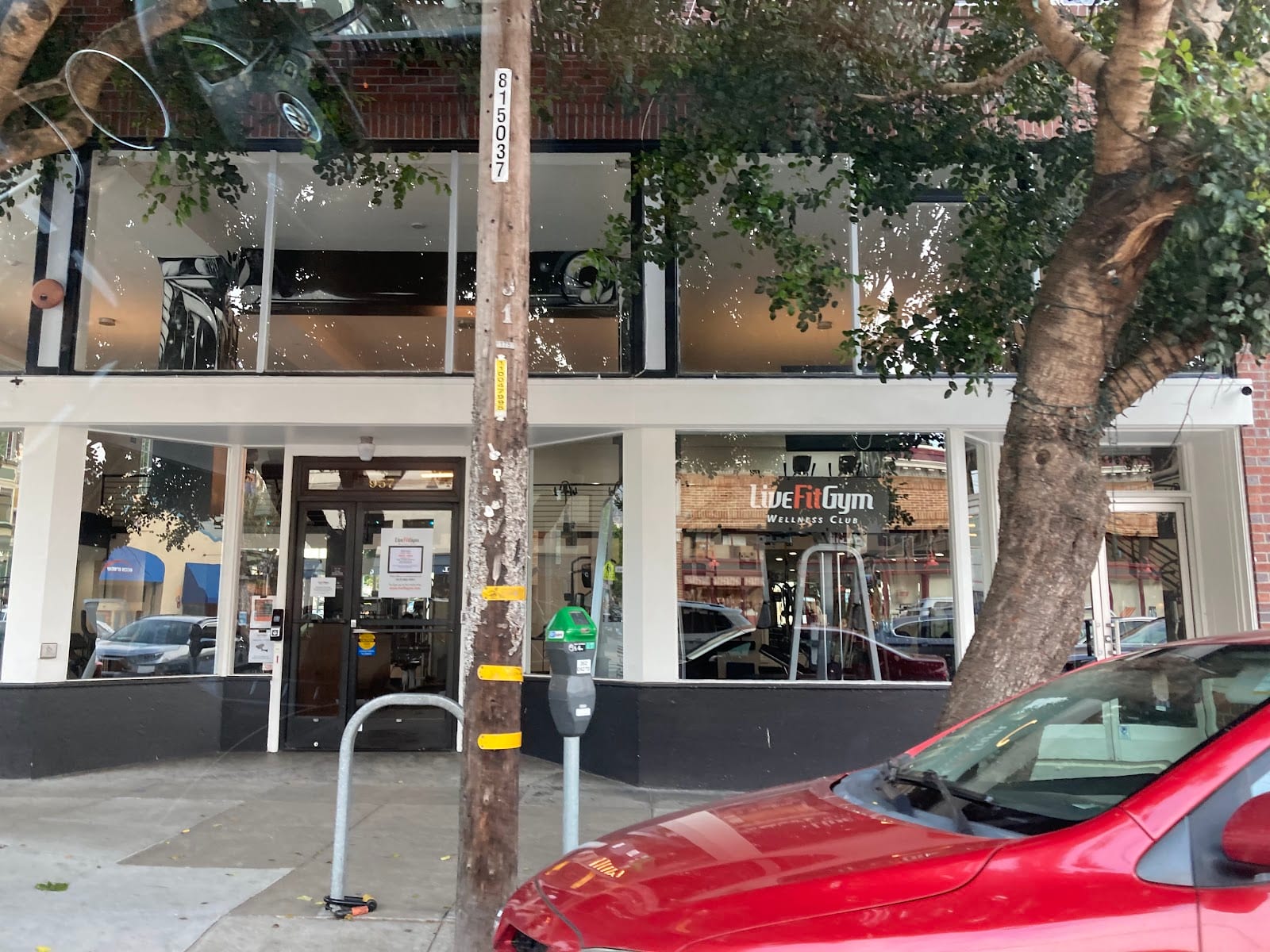 Live Fit Gym • Cole Valley, photo 3