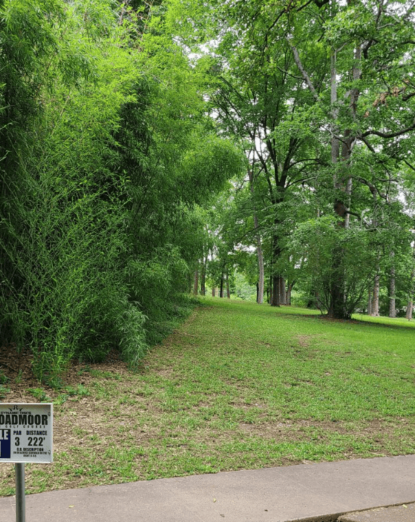 Broadmoor Lake Disc Golf Course, photo 3