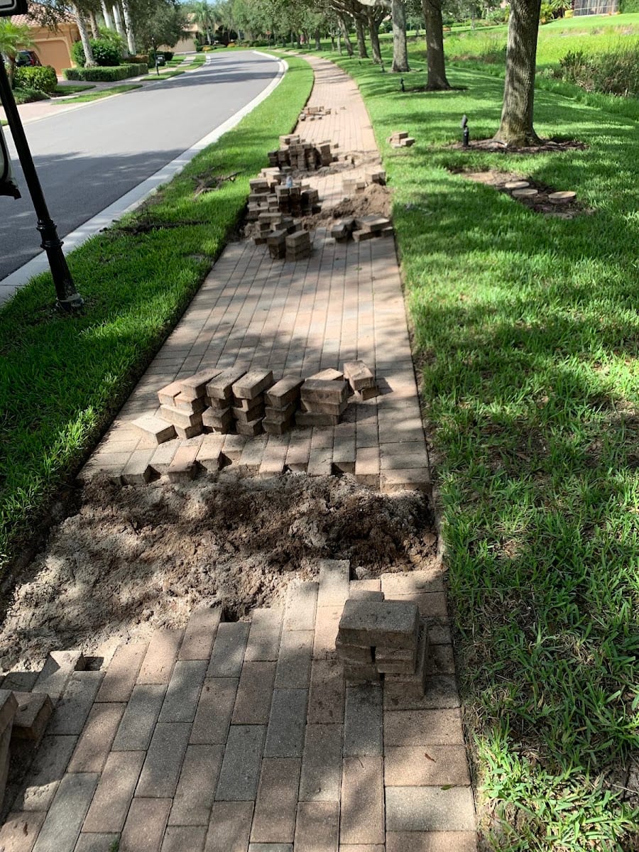 In Bloom Lawn & Landscape - Sarasota Landscaping, photo 4
