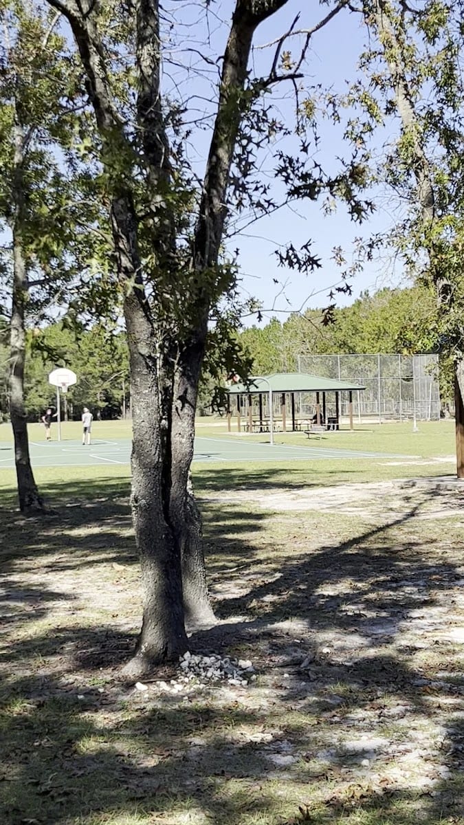 Ronnie Van Zant Memorial Park, photo 2