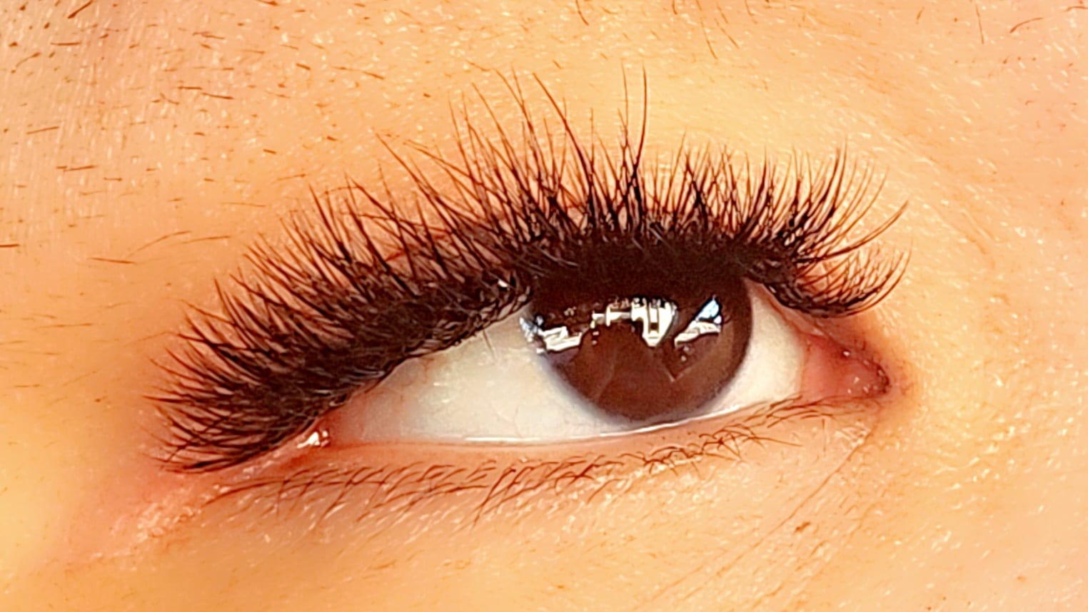 Hannah lash and brows