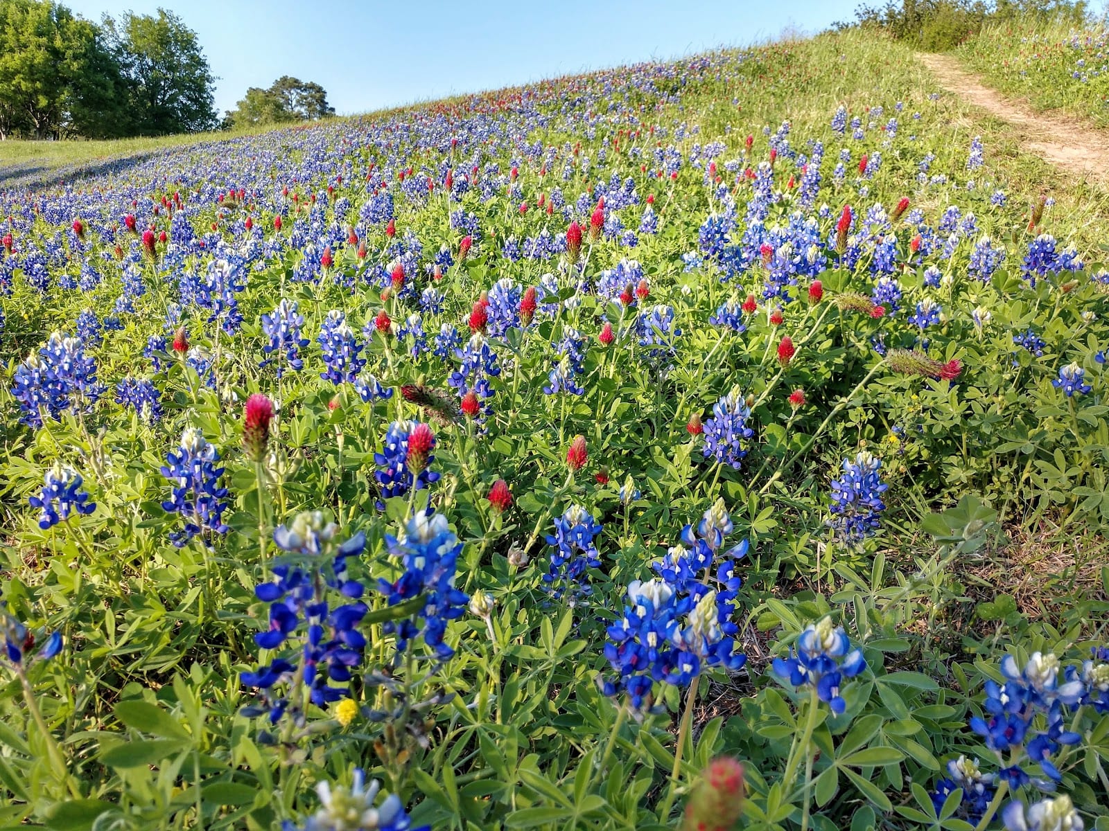 White Oak Bayou Greenway