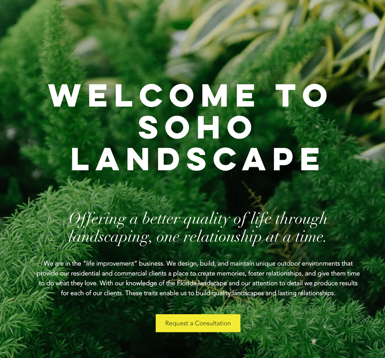 Soho Landscape, photo 2