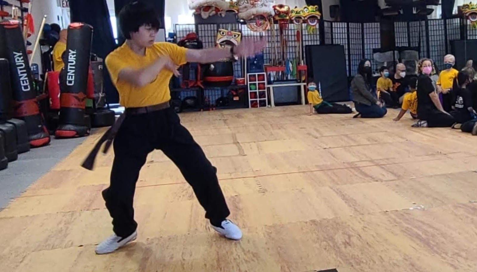 Five Animals Kung Fu Academy, photo 3