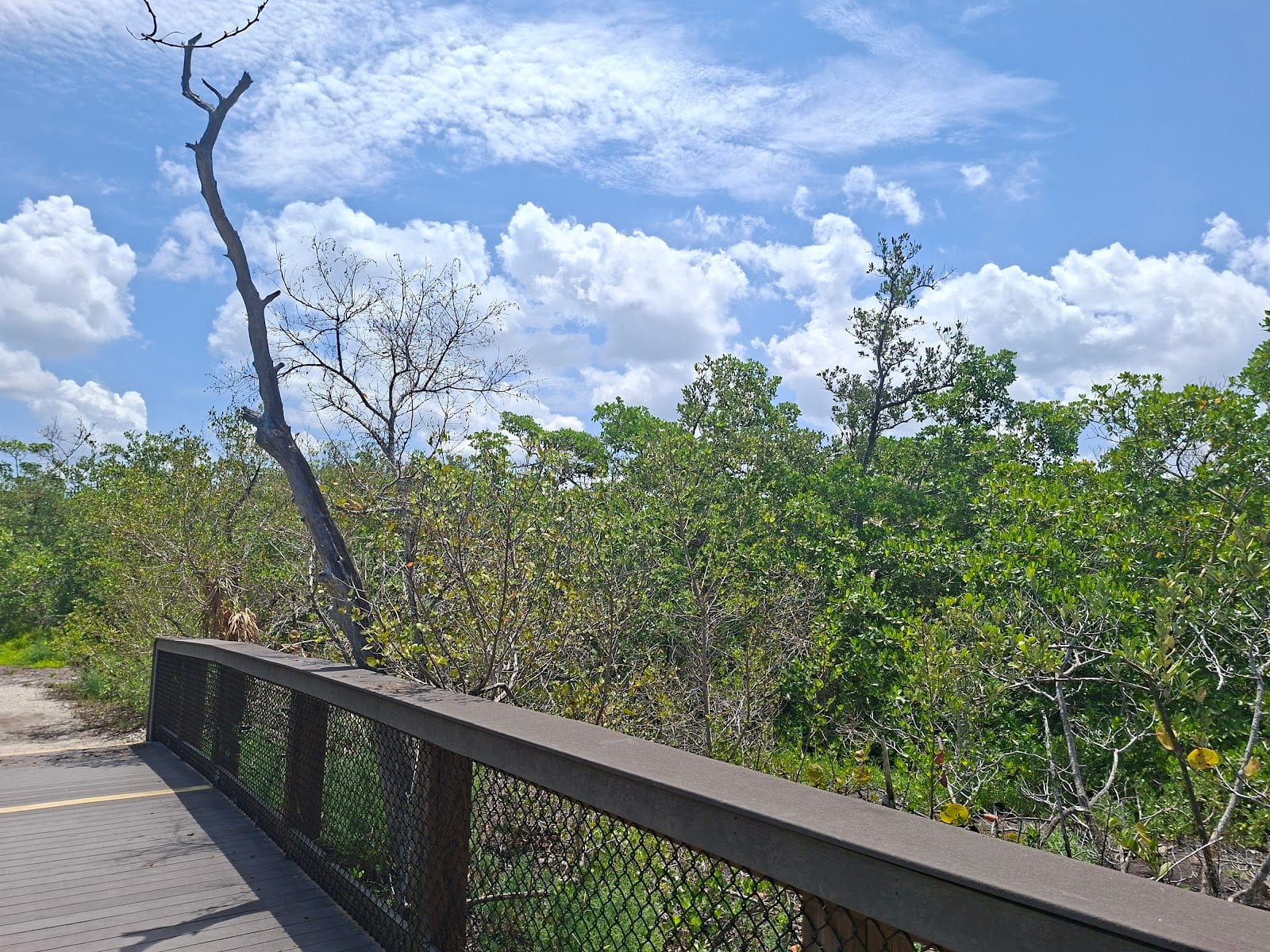 South Lido Lookout Bridge, photo 2