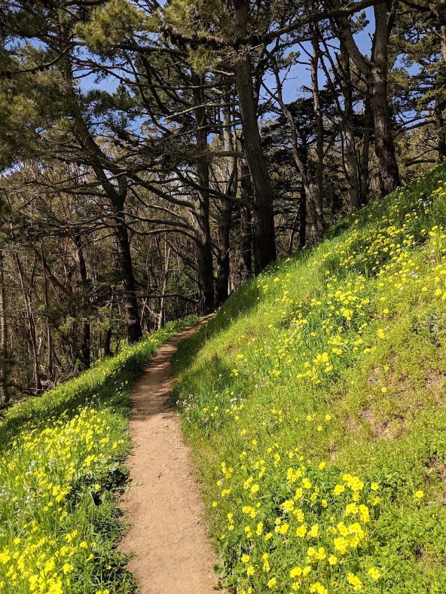 Philosopher's Way Trailhead