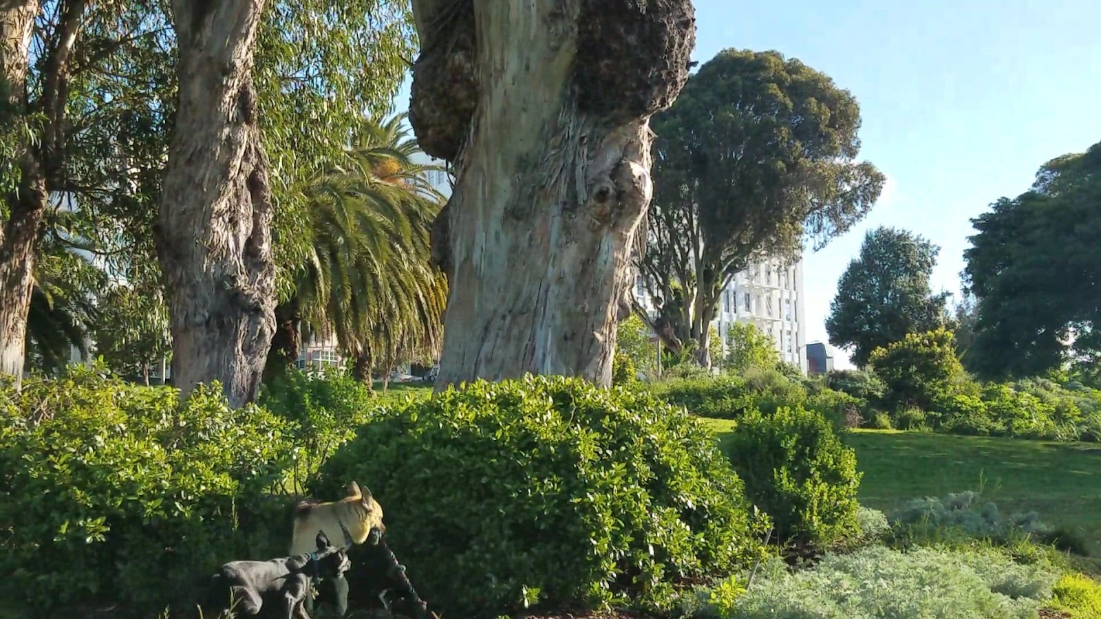 Jefferson Square Park, photo 2