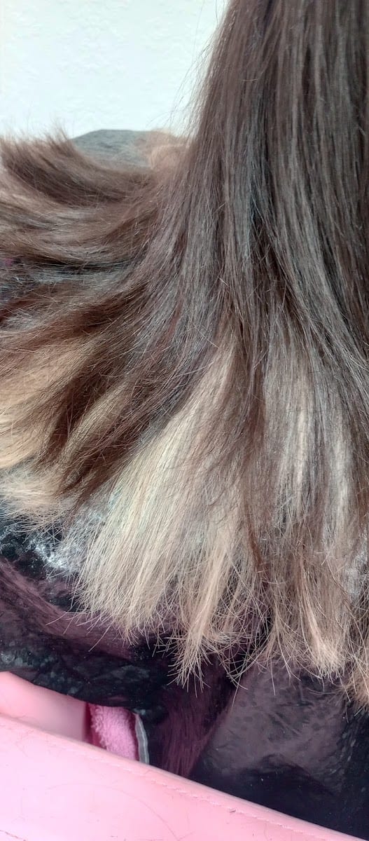 Tradewinds Hair Systems, LLC