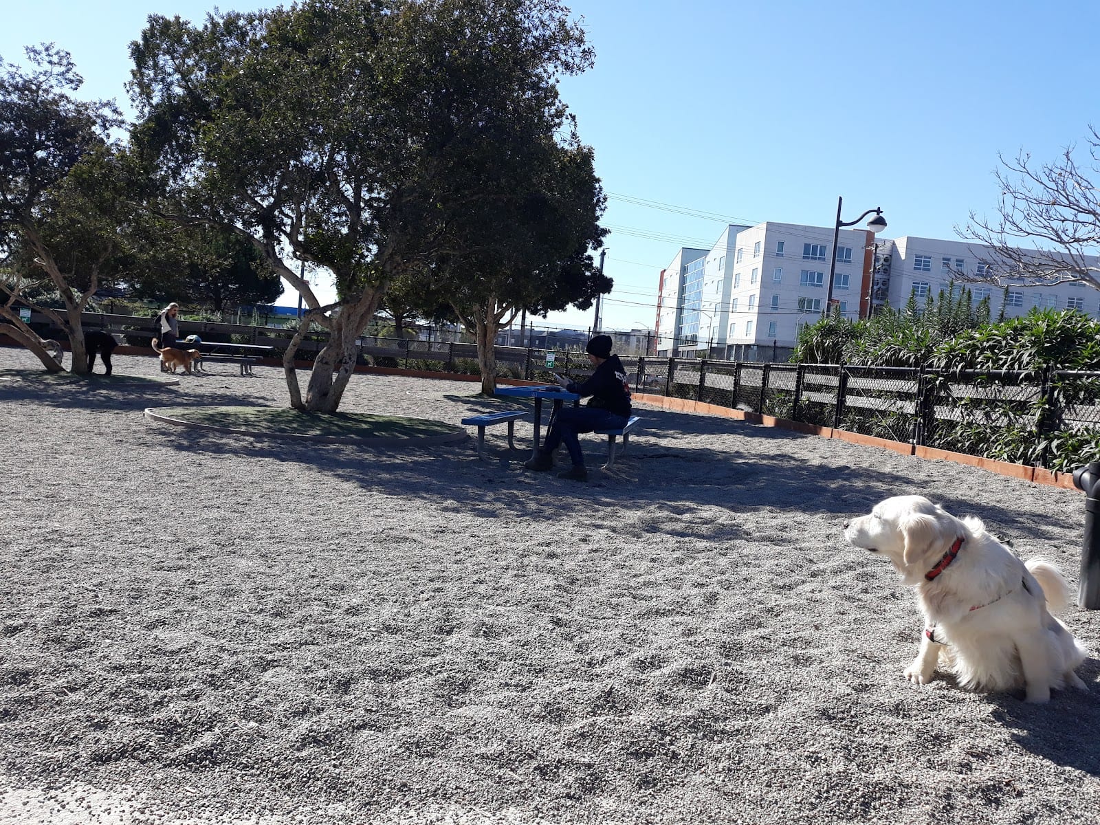 Mission Creek Dog Park
