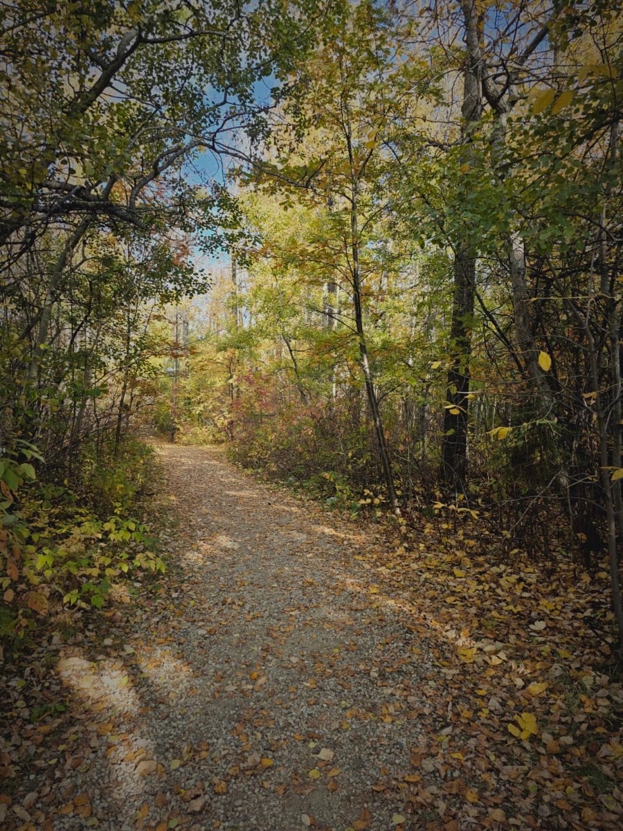 Glen Allan Park