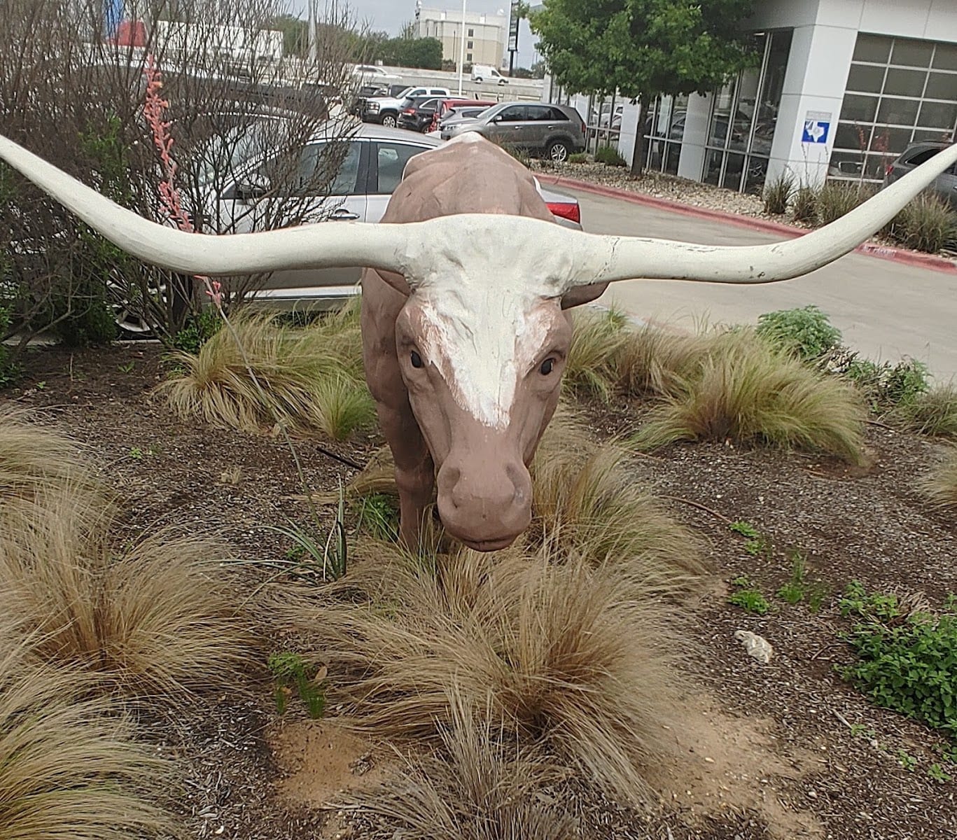 Kia of Round Rock Service Center, photo 4