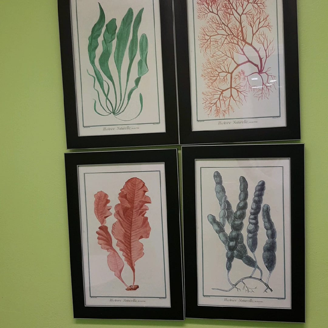 Round Rock Comfort Dentistry, photo 3