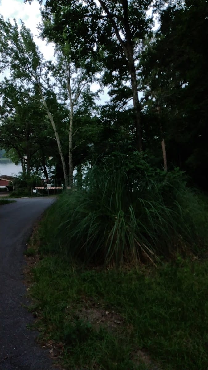 Allen Park