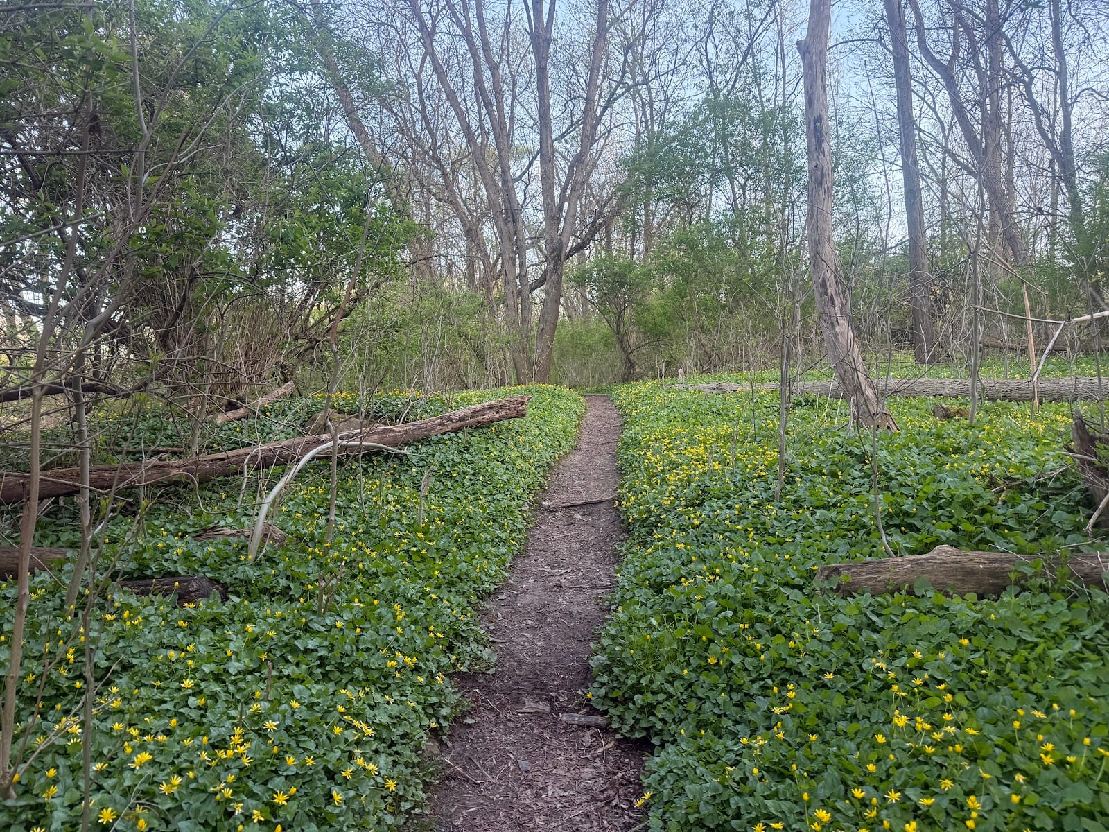 Tryon Park