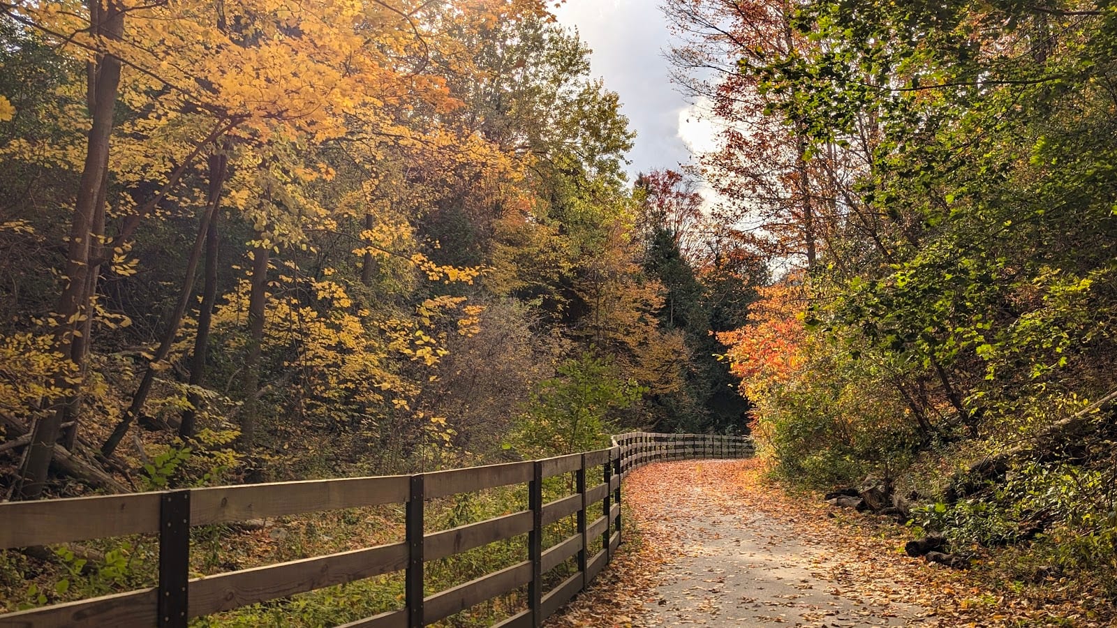 Charles Sauriol Conservation Area