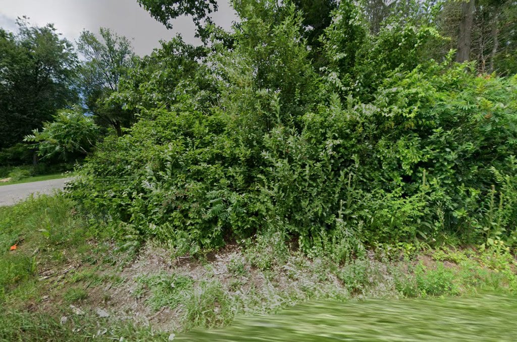 Saratoga Earthworx Llc, photo 4