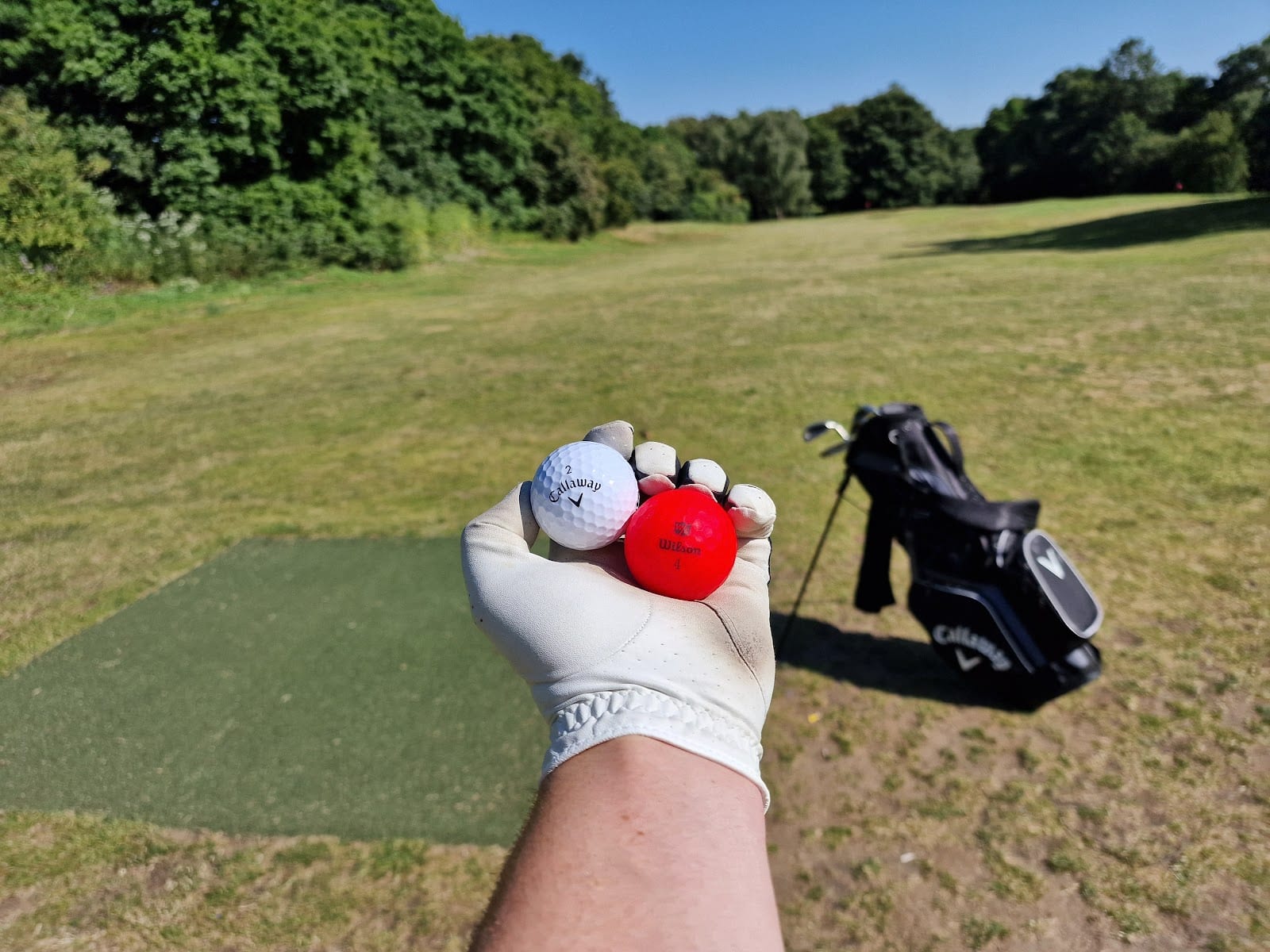 Mousehold Pitch and Putt