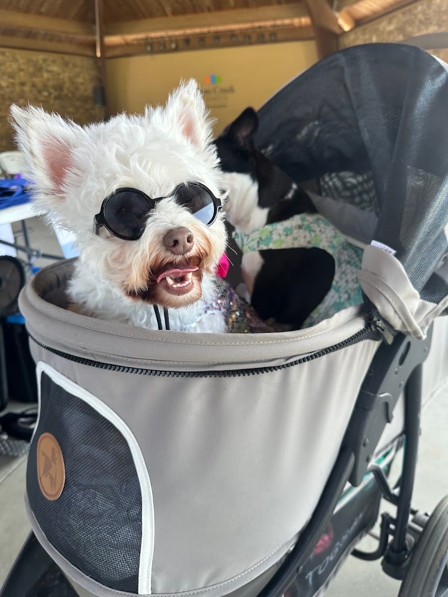 The Happy Dog Hotel