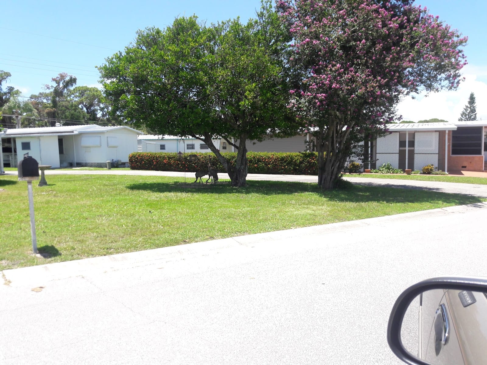 Tri-Par Estates Park & Rec, photo 3