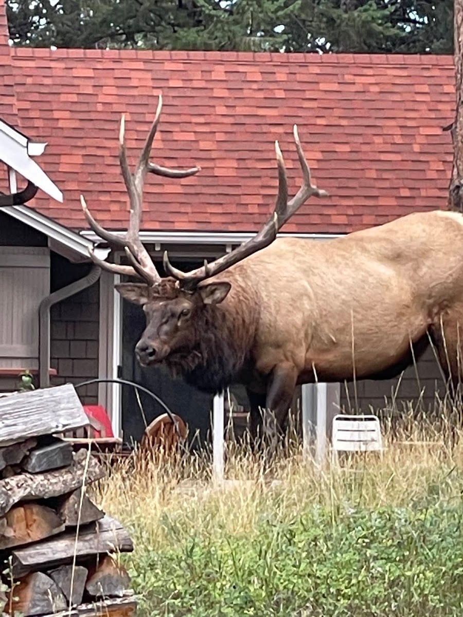 Estes Park Retreat