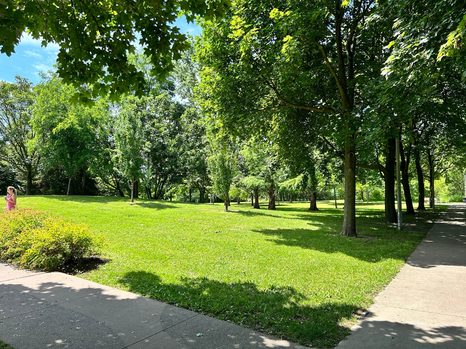 Springbrook Park
