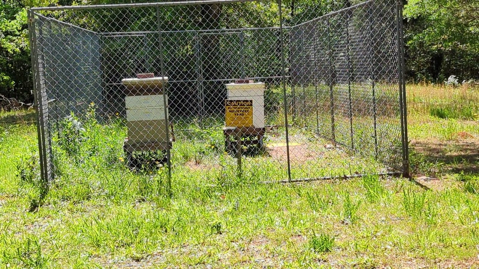 Rocky River Nature Park, photo 2