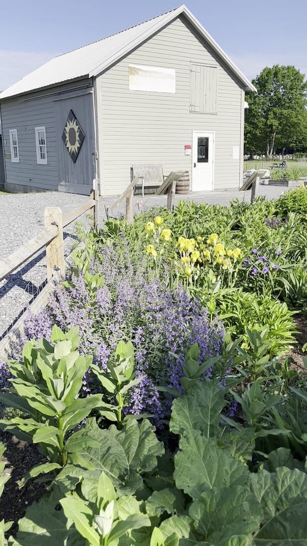 Pitney Meadows Community Farm, photo 2