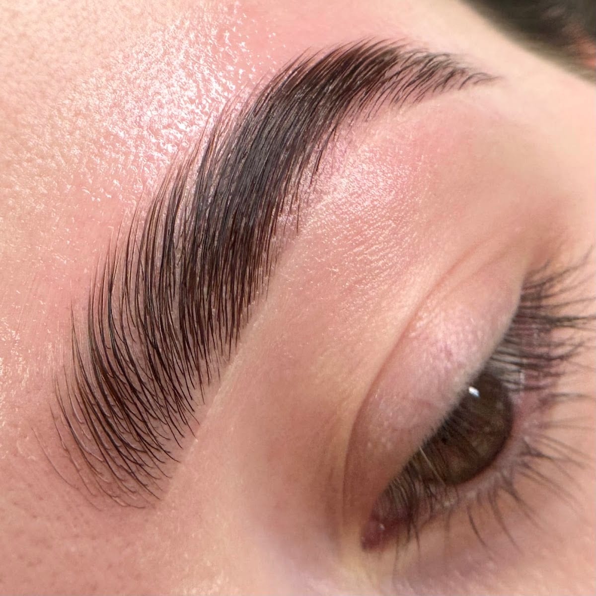 Stefy Brows