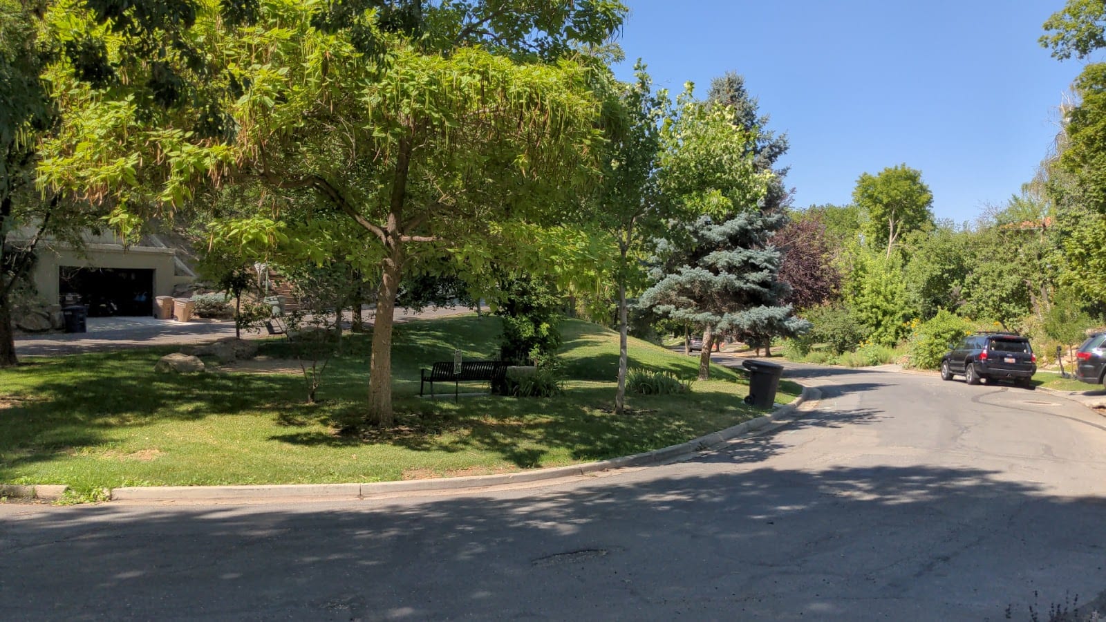 Beatrice Evans Park