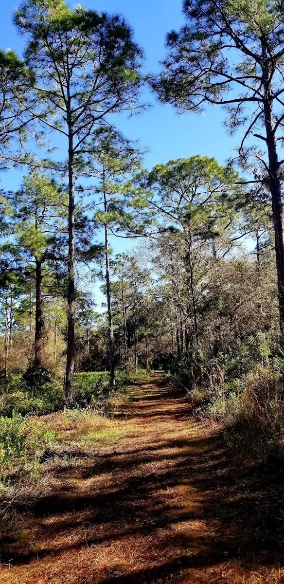 Sleeping Turtles Preserve South