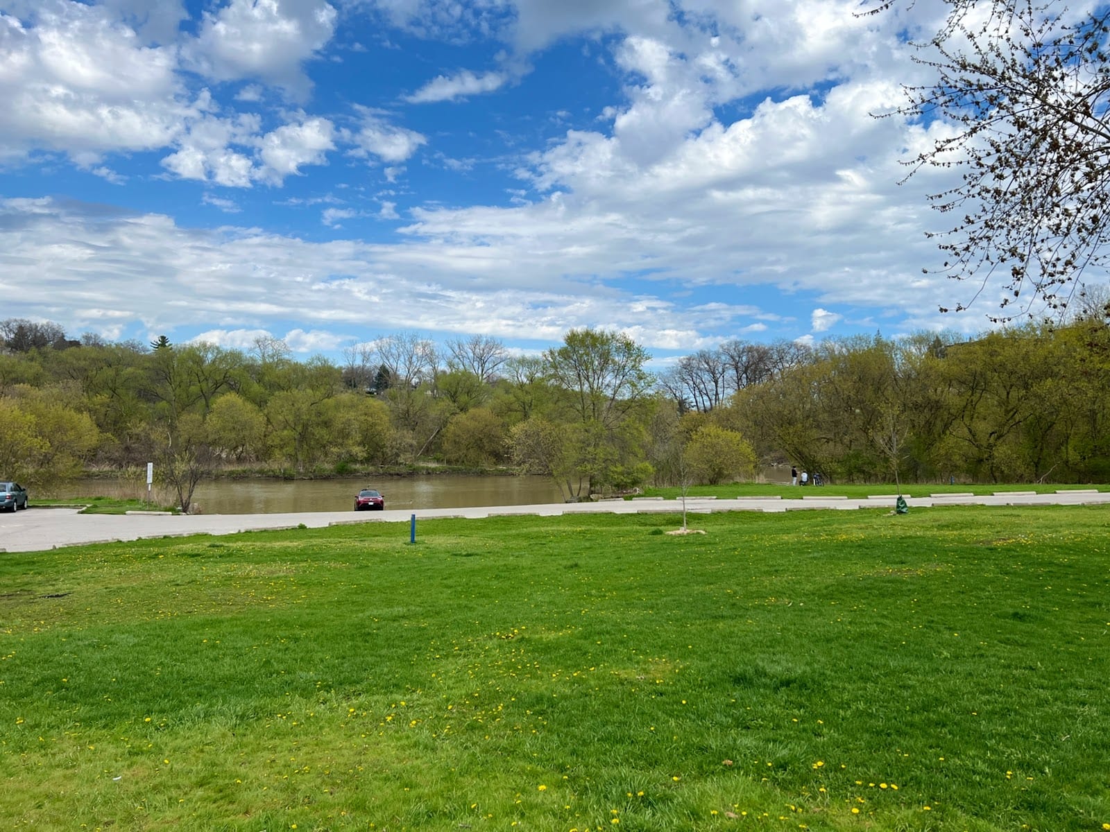 Kingsmill Off-Leash Dog Park