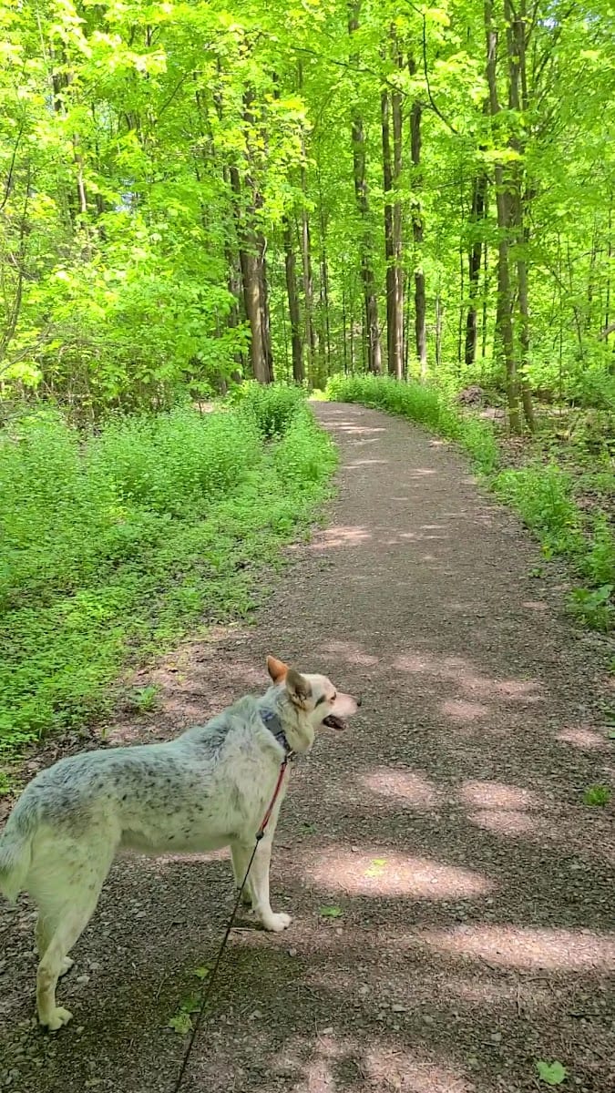 Bestview Park, photo 2