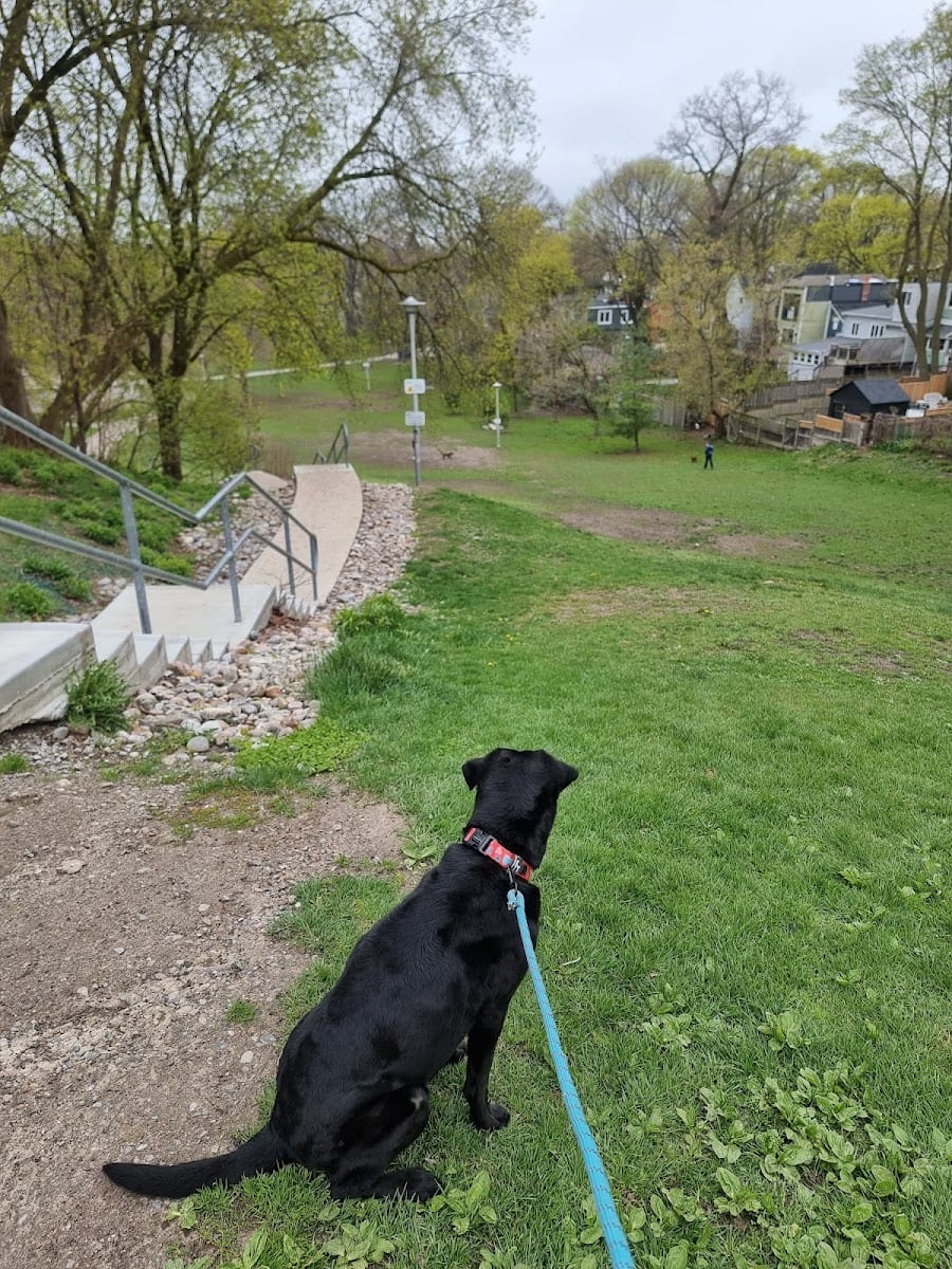 Cassels Park