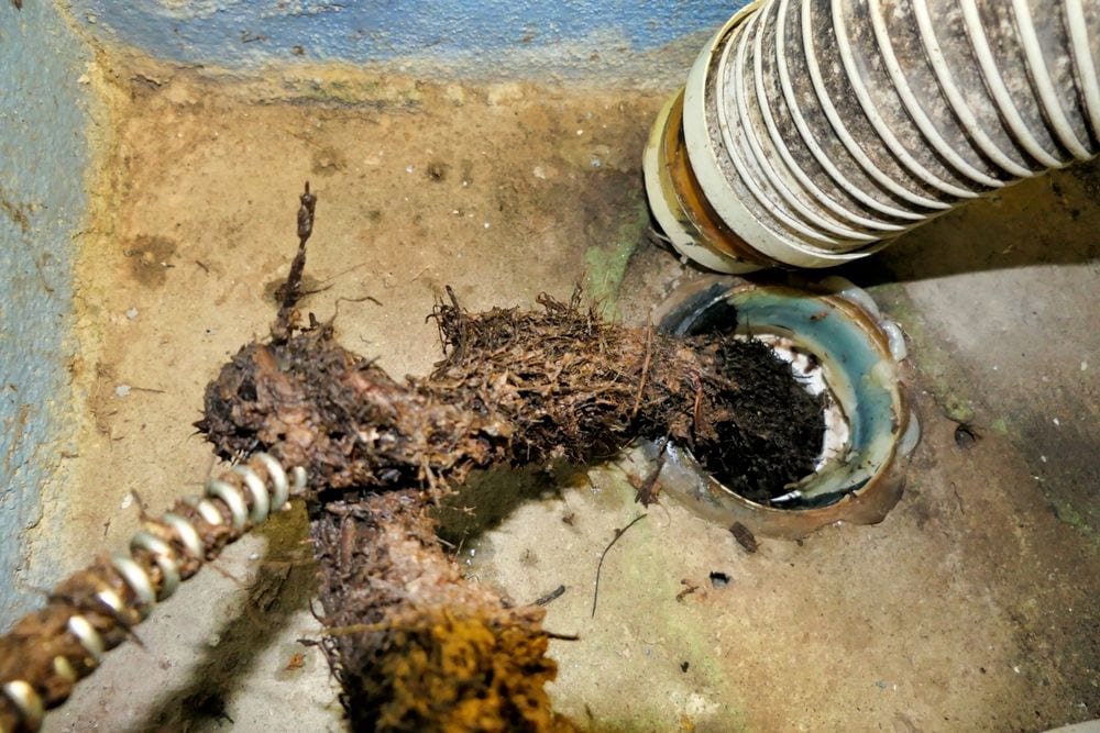 Instant Drain Solutions, photo 3