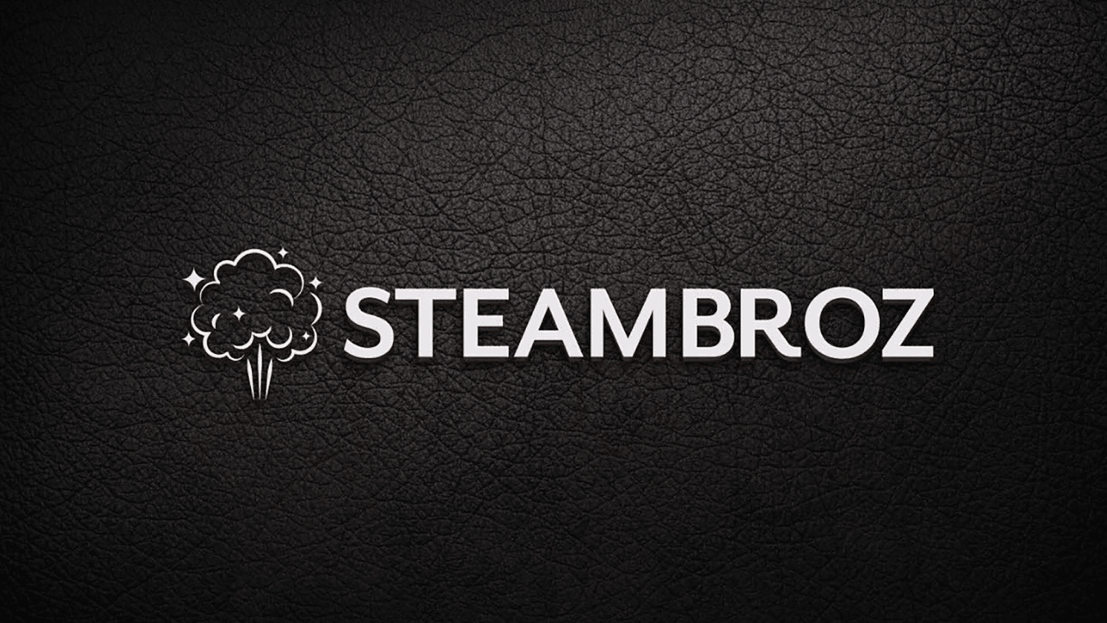 SteamBroz Steam Cleaning & Protection, photo 3