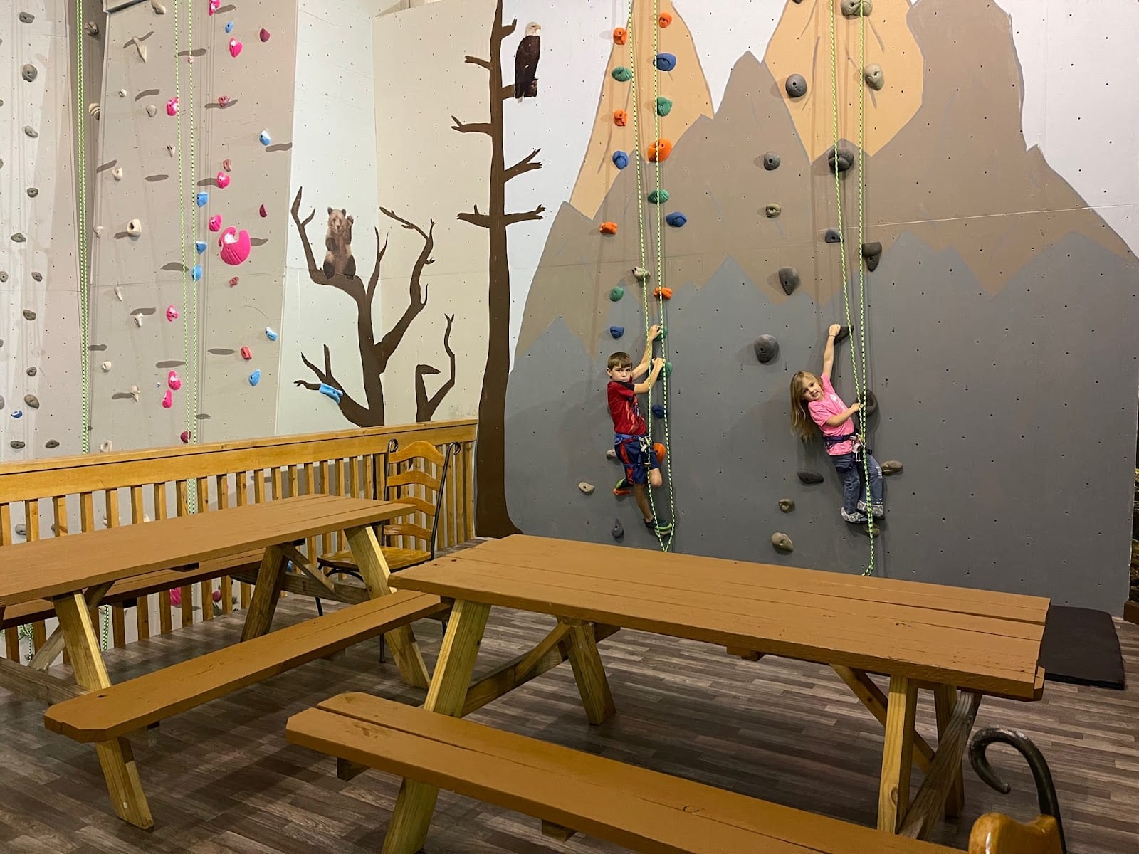 Trailhead Climbing & Outdoor Center, LLC, photo 3