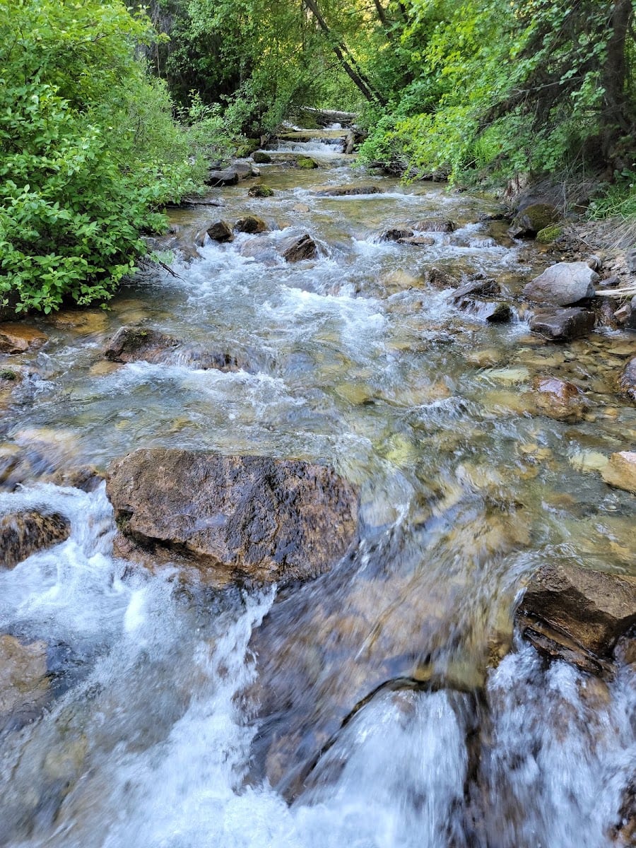 High Creek Canyon Trailhead, photo 3