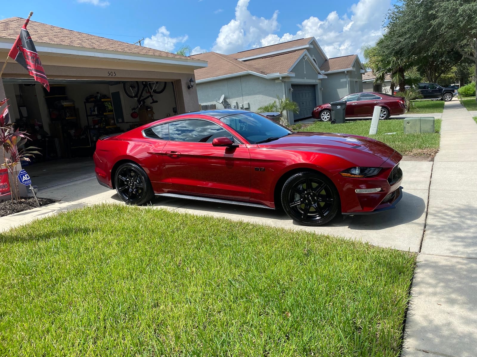 Tampa Auto Stylist