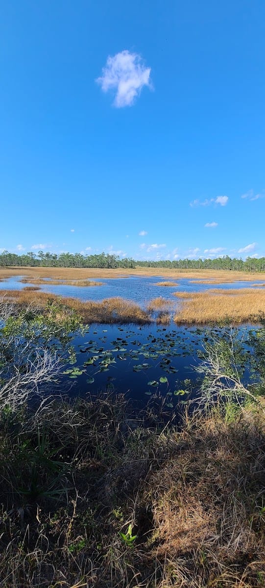 Charlotte Flatwoods Environmental Park
