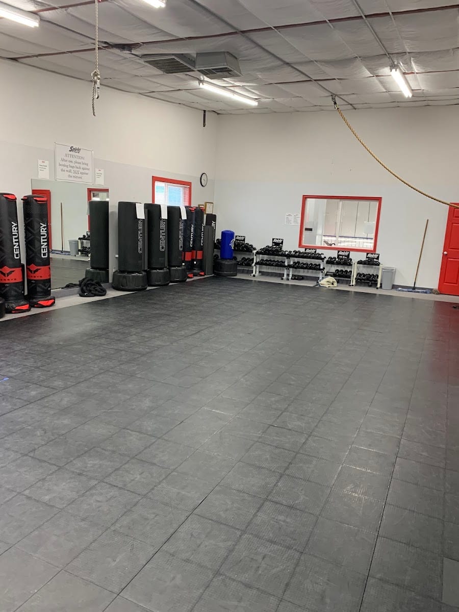 Mindful Martial Arts