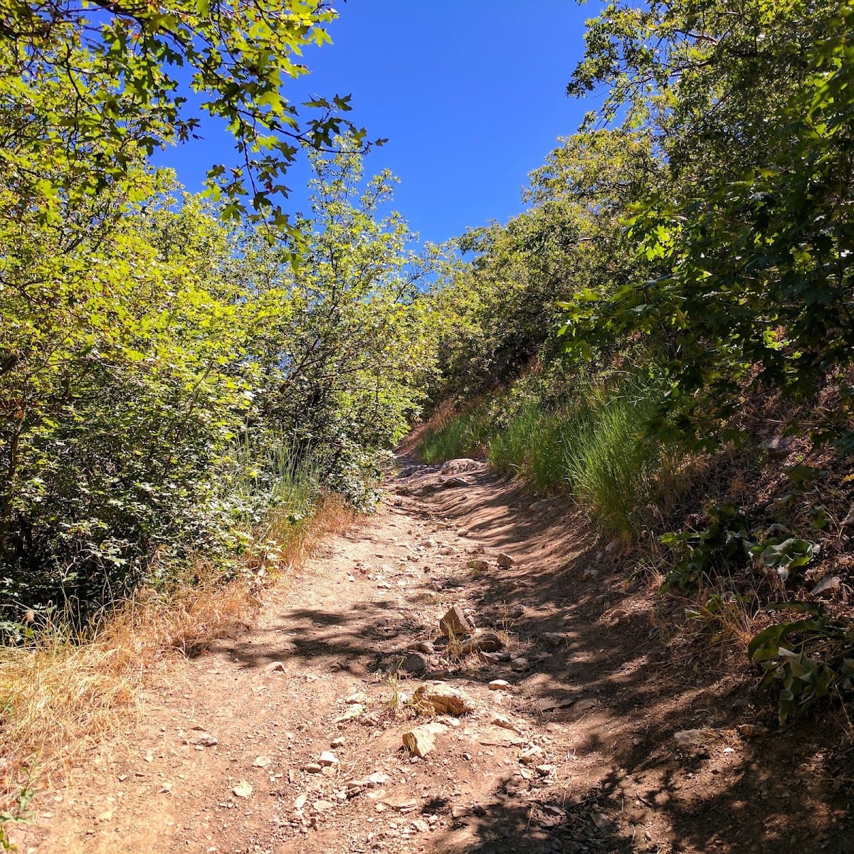 Bonneville Shoreline Trail