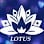 Lotus Wellness Centre & Massage Spa