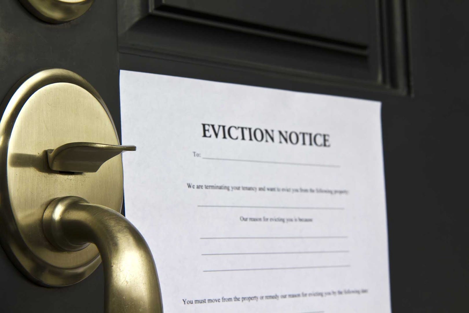 Rocket Eviction Service, photo 4