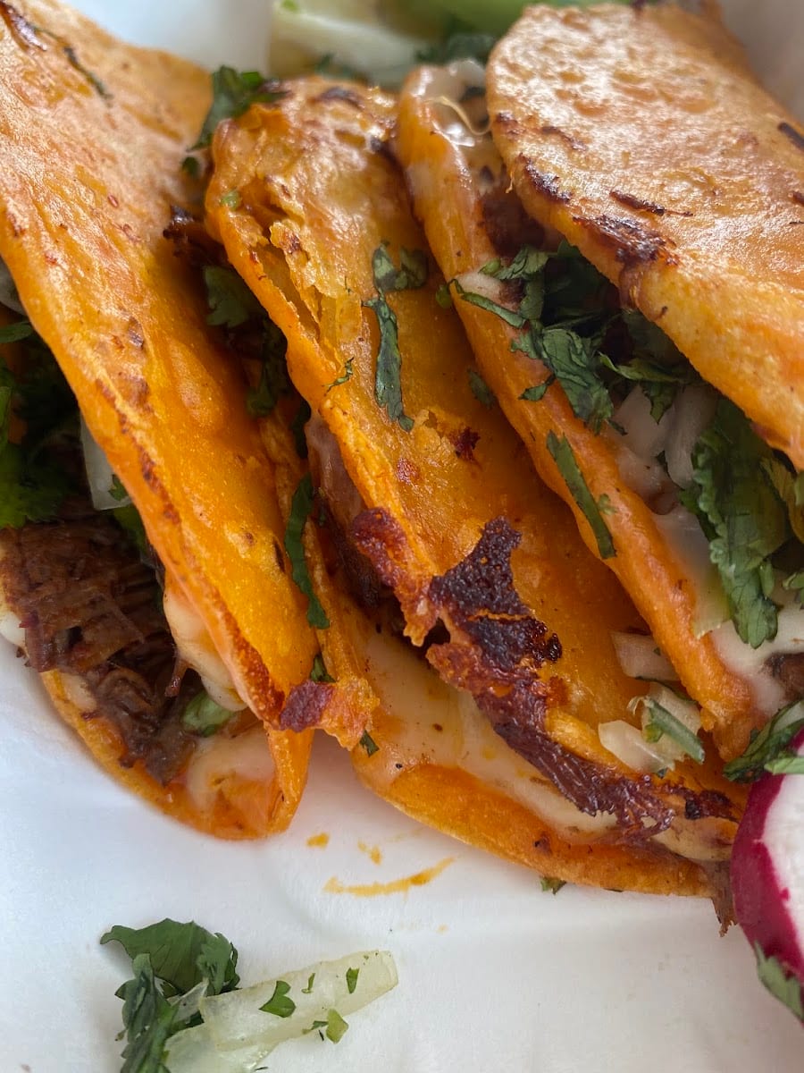 Taqueria el Primo, photo 4
