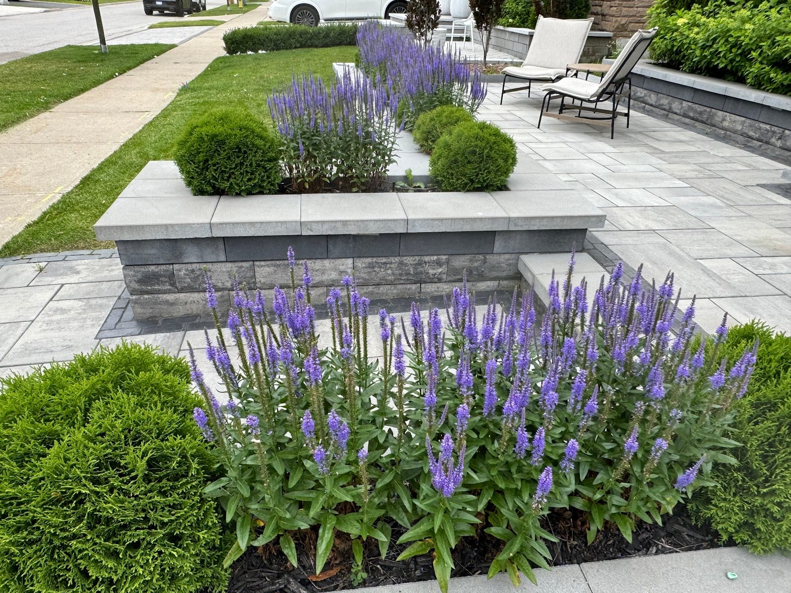 Maximus Jardin inc